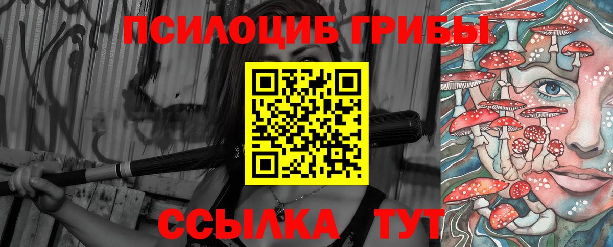 Галлюциногенные грибы Cubensis  Вход с VPN  Холмск 