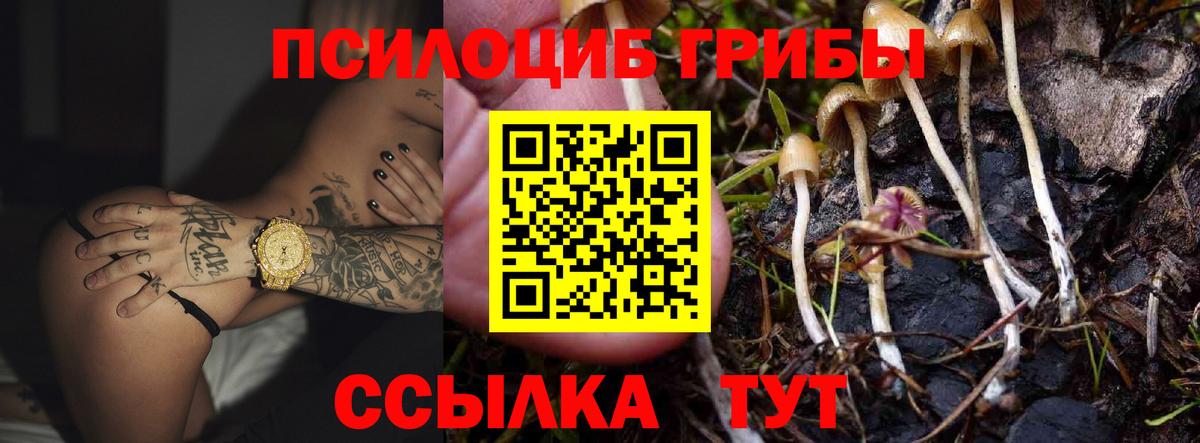 Псилоцибиновые грибы прущие грибы Холмск